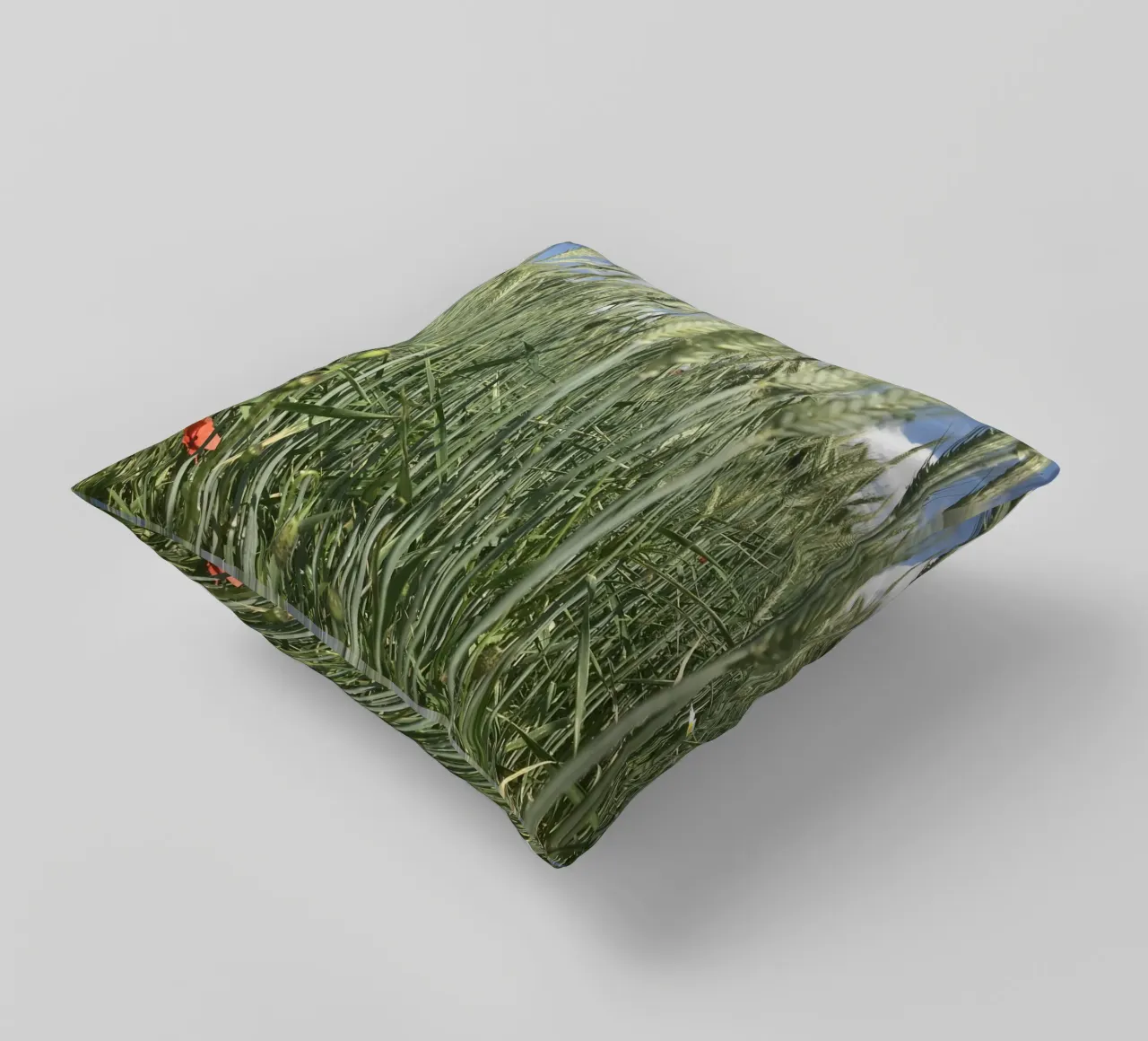 Poppy in the rye field decorative cushion by Art Studio by Iris
