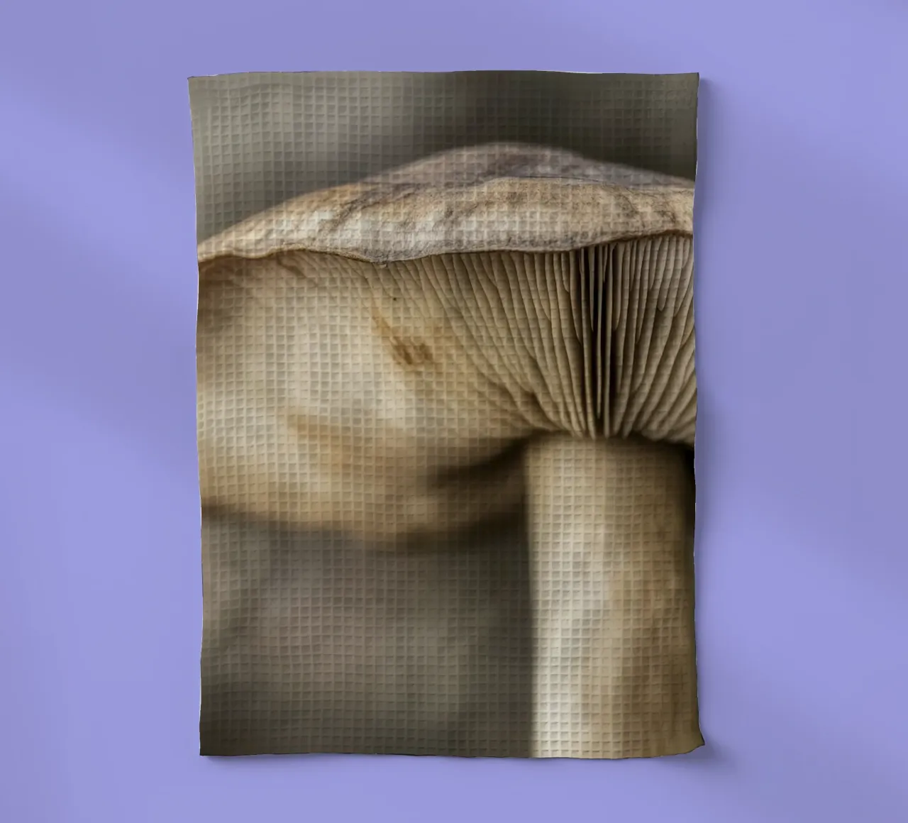 Champignon dans les tons bruns torchon de Imagine