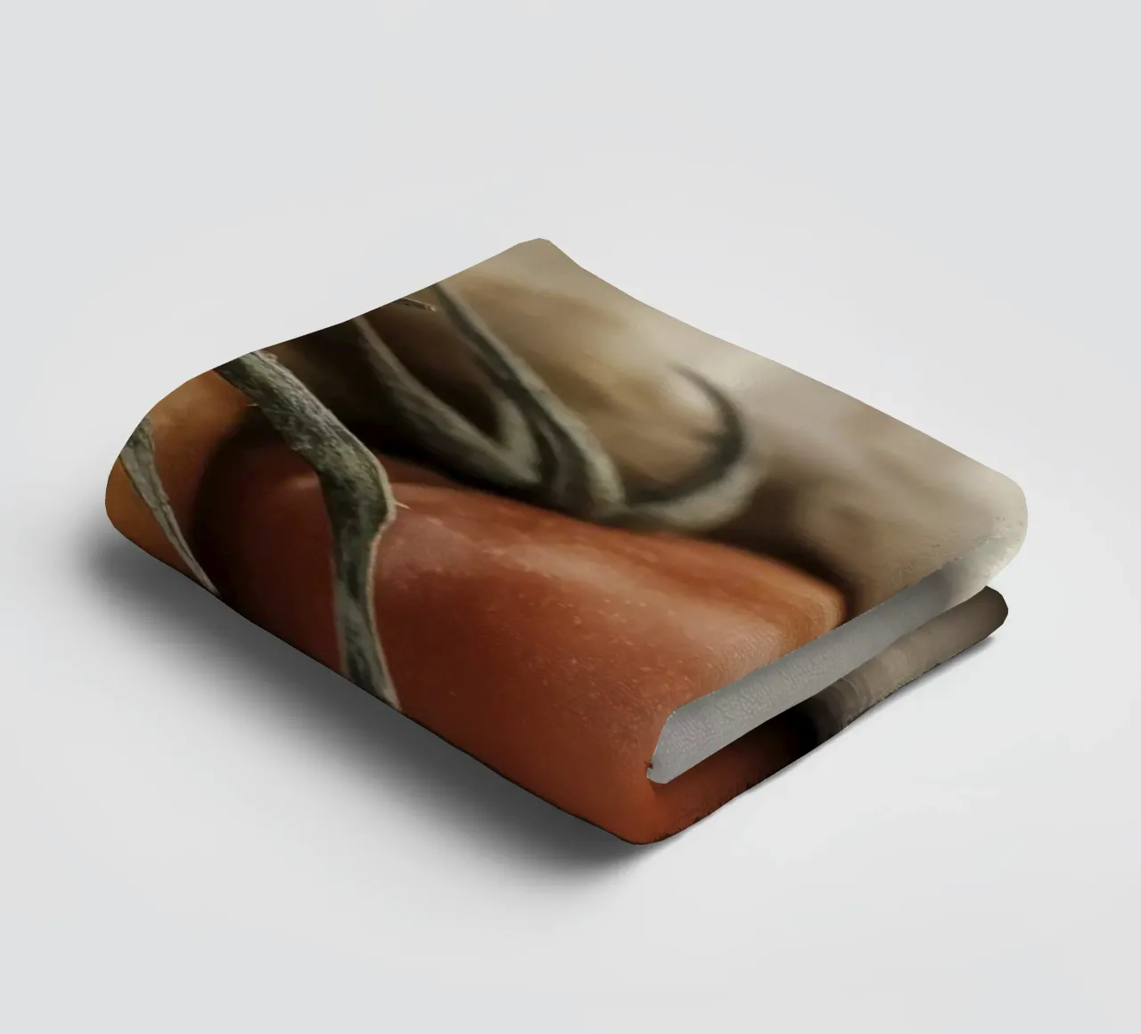A quiet life of tomatoes and an onion towel by Imagine