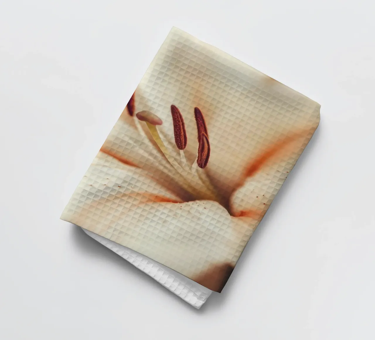 Primo piano di un fiore canovaccio da cucina da Imagine