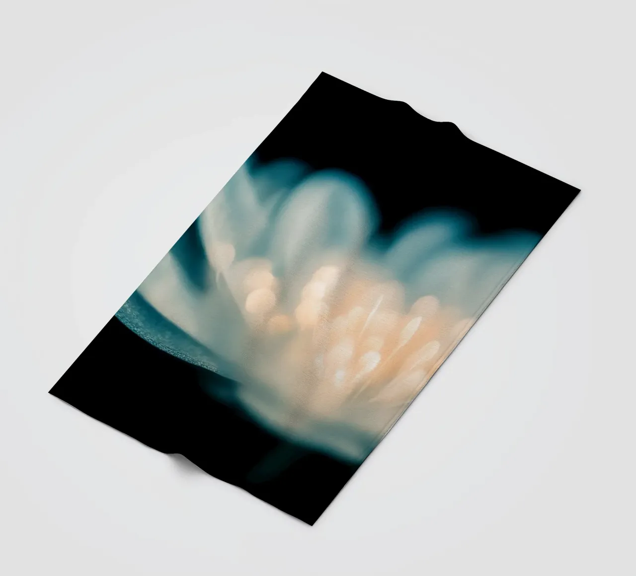 Fiore trasparente coperta in pile da Imagine