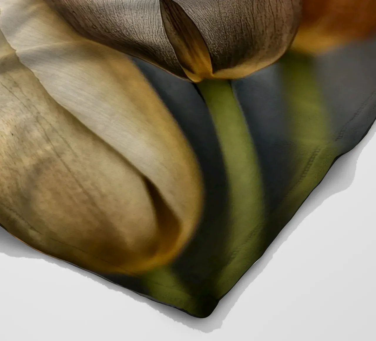 Tulipani dai colori tenui coperta in pile da Imagine