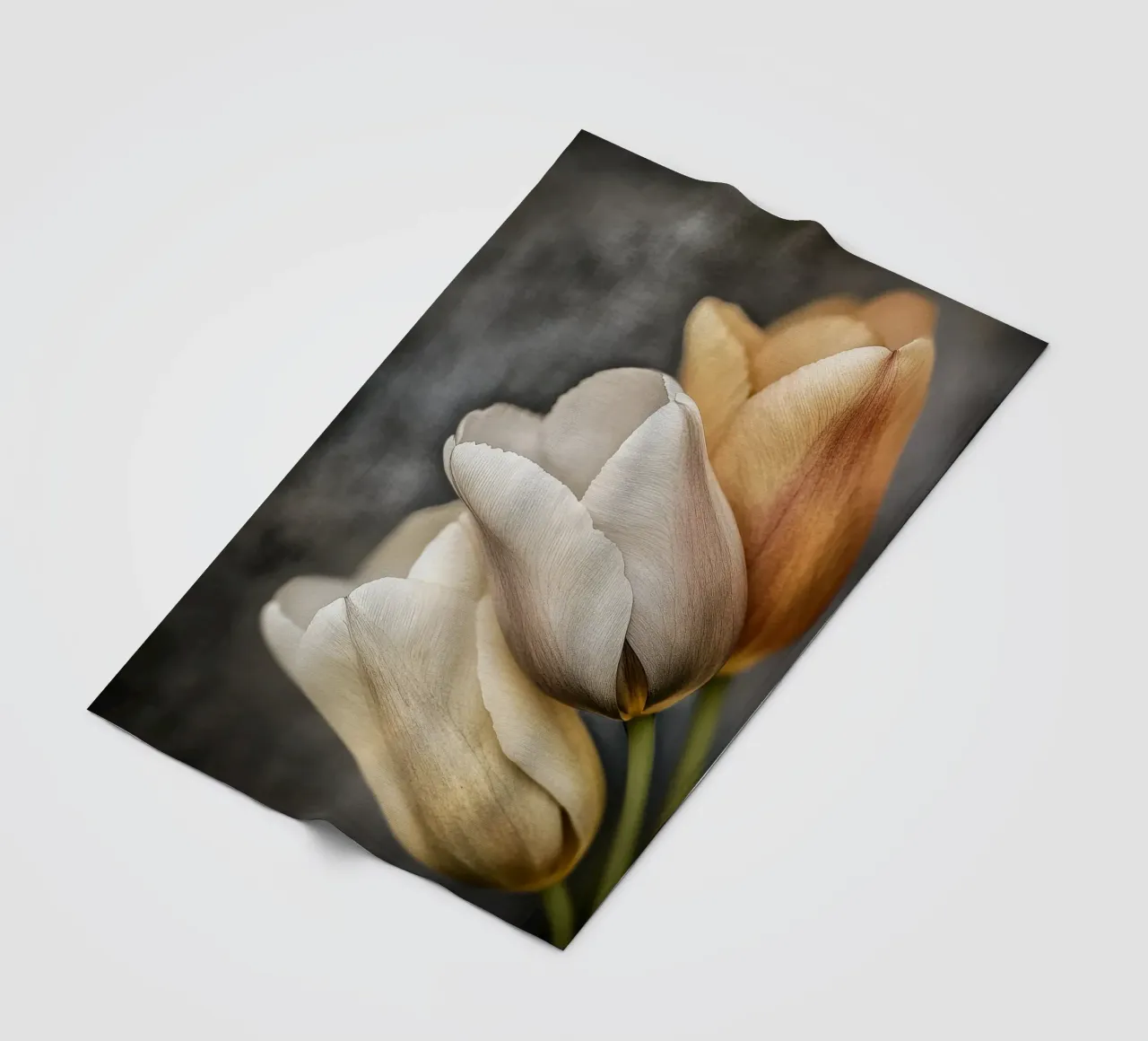 Tulipani dai colori tenui coperta in pile da Imagine