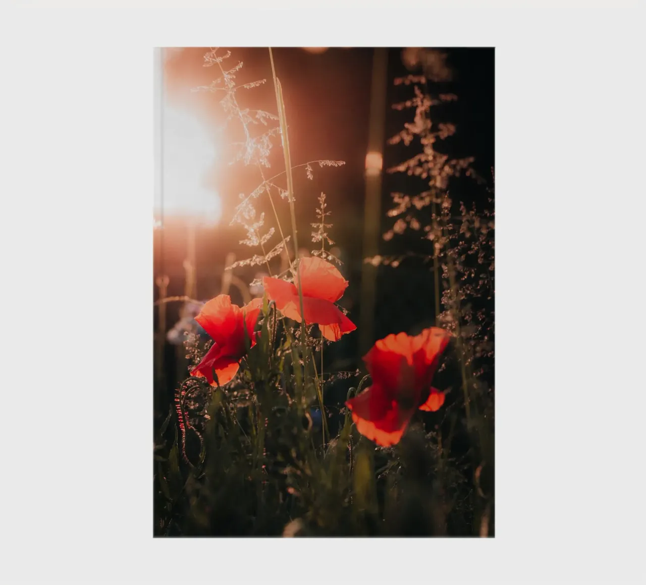 Flowerful Evening notebook by Journey of Vanessa