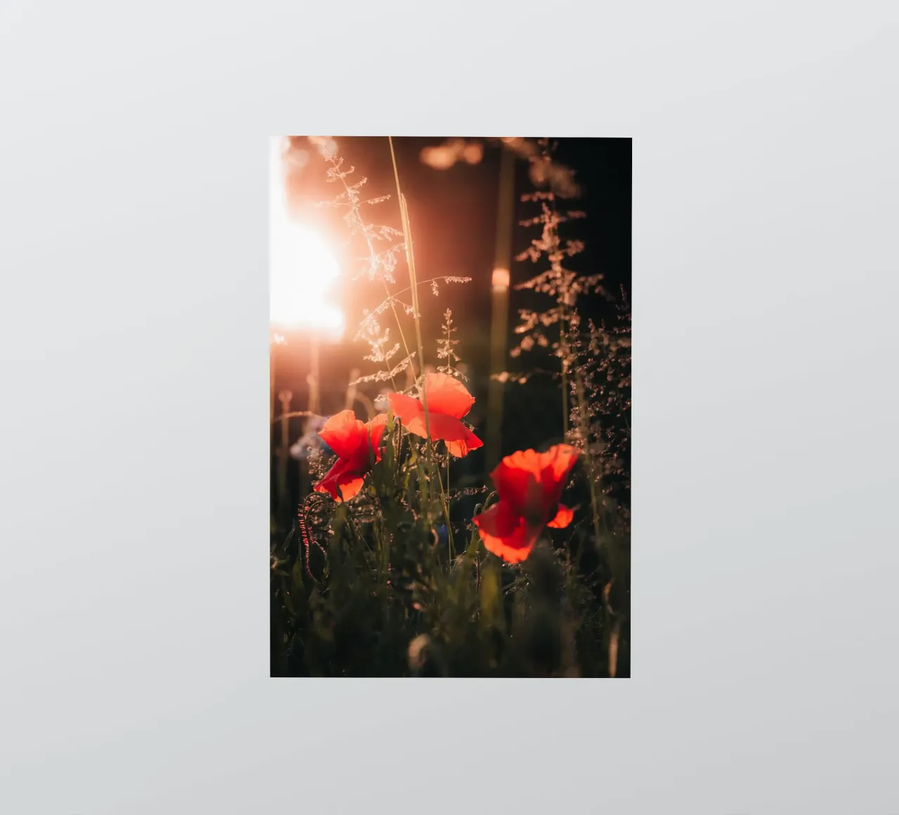 Flowerful Evening sticker by Journey of Vanessa
