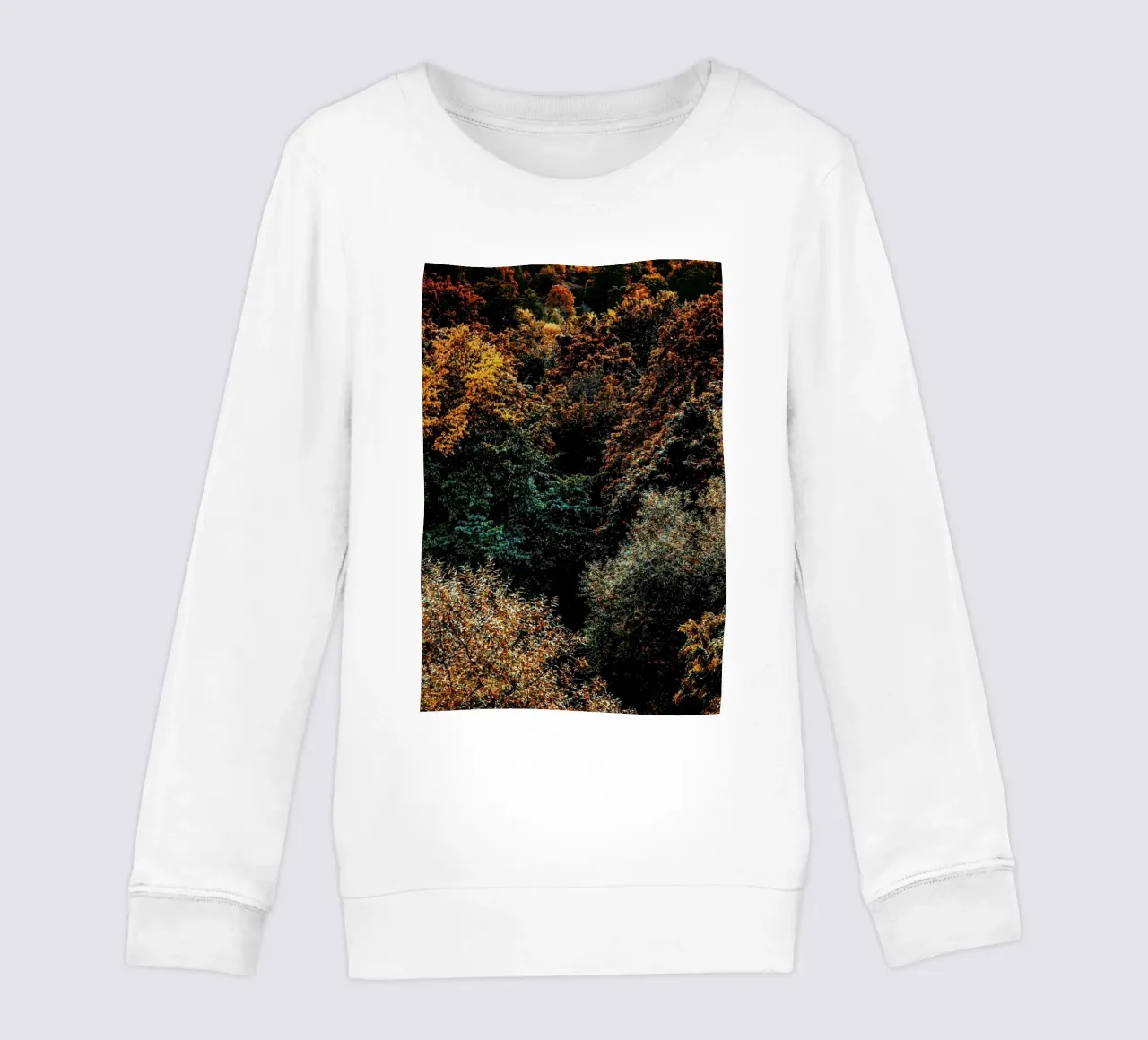 The Fall felpa bambino da Pale Grain