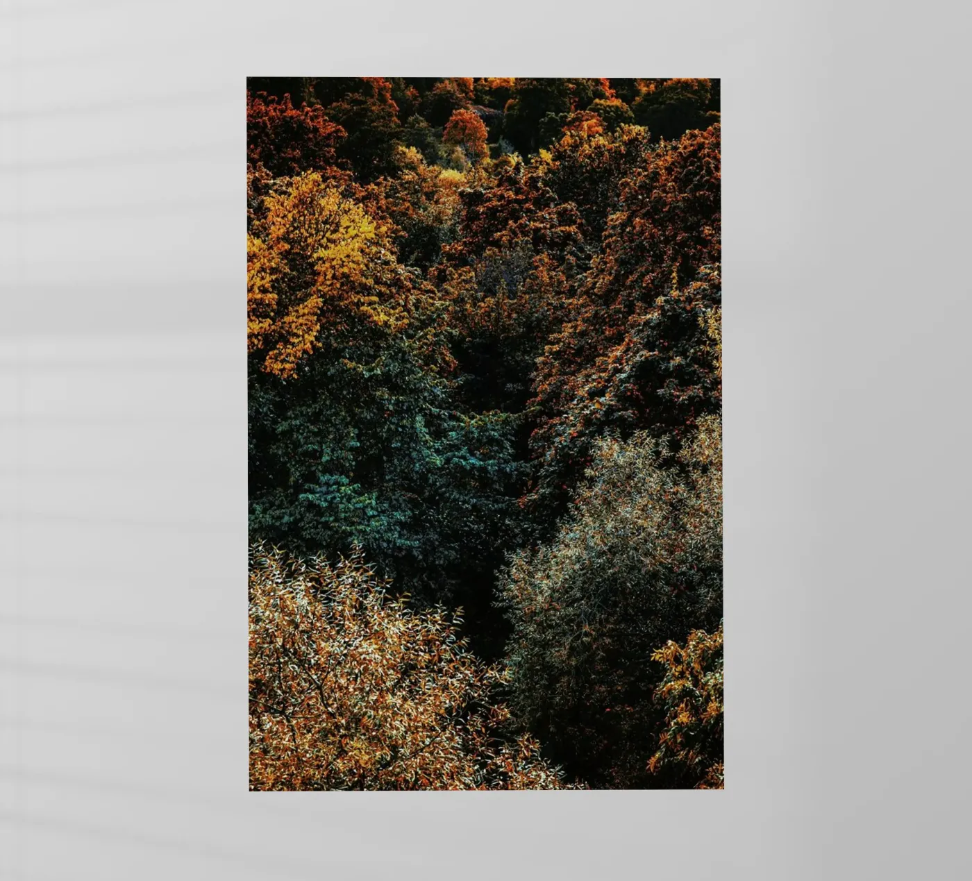 The Fall backlit folie van Pale Grain