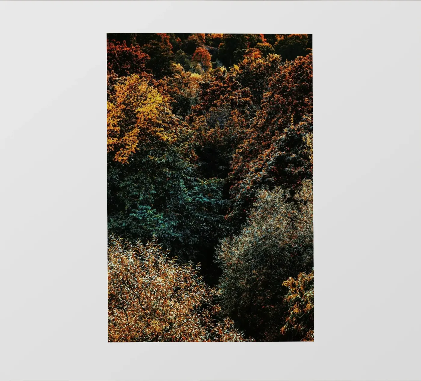 The Fall backlit folie van Pale Grain