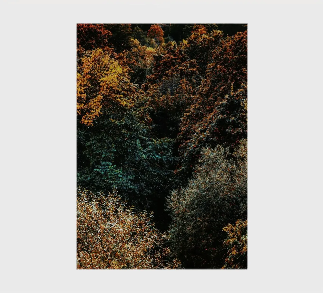 The Fall notebook by Pale Grain