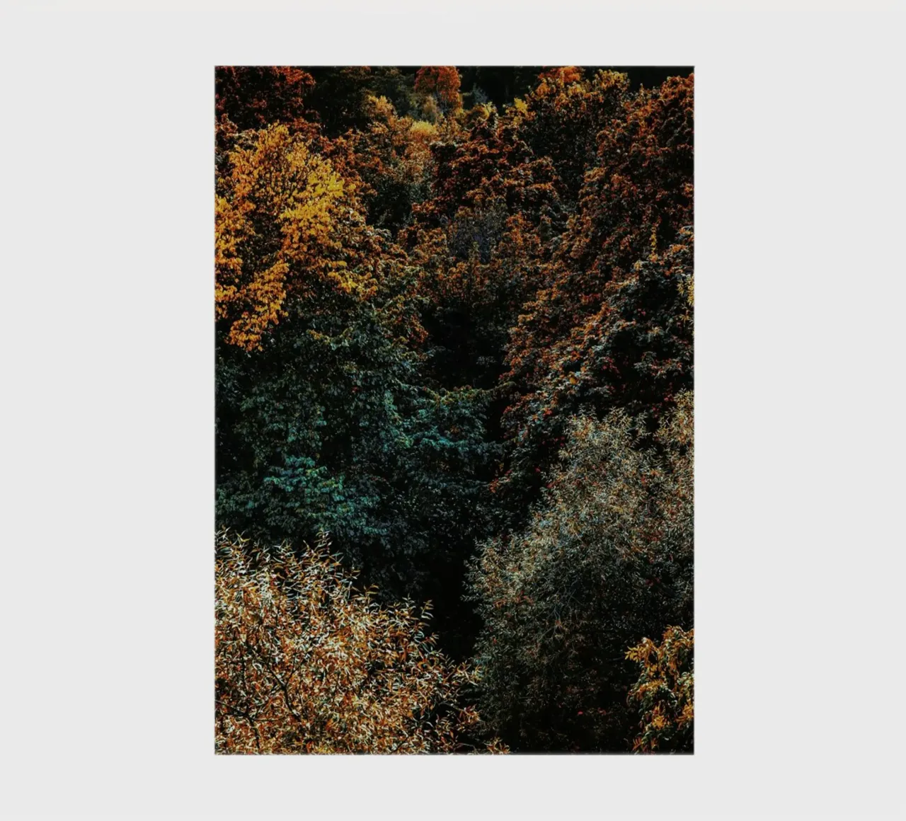 The Fall notebook by Pale Grain