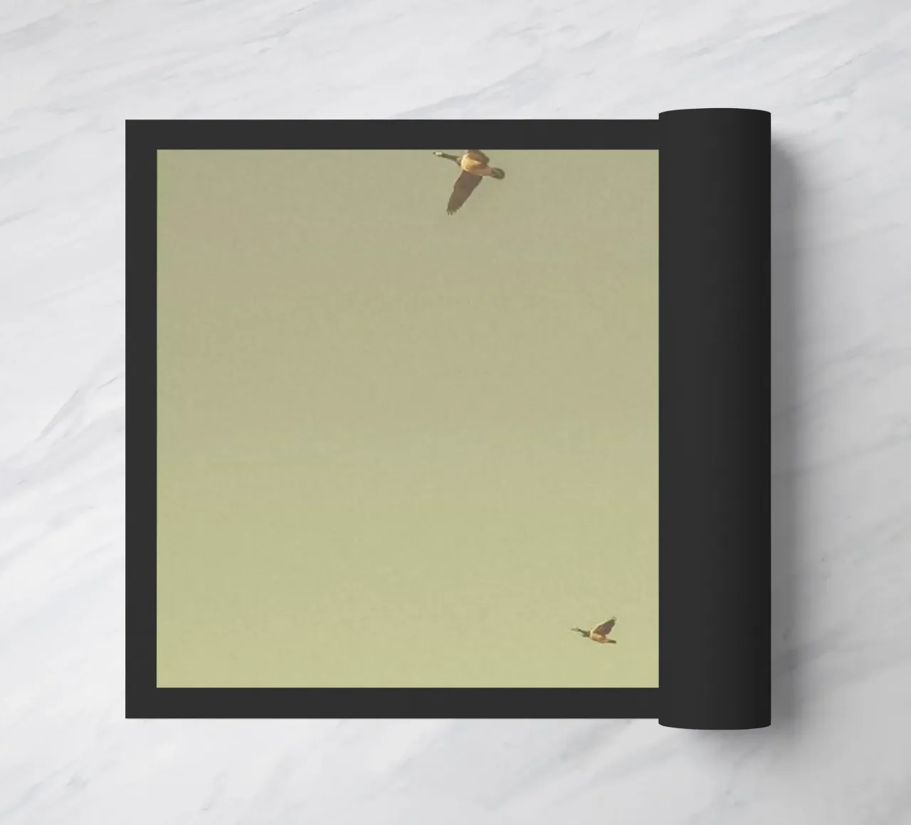 The Goose zerbino da Pale Grain