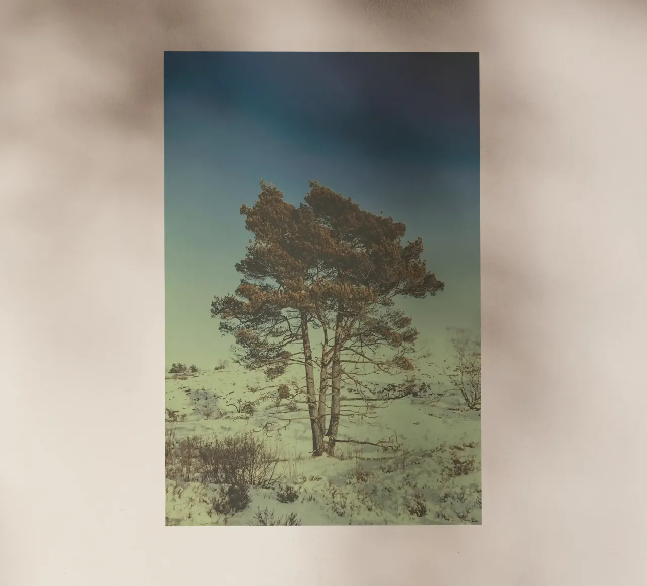 The Tree backlit film by Pale Grain