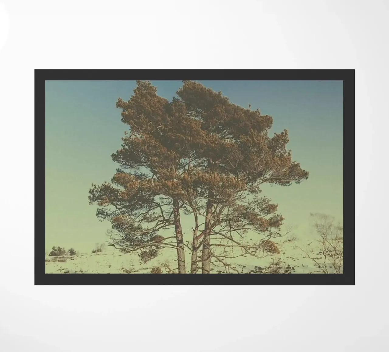 The Tree zerbino da Pale Grain