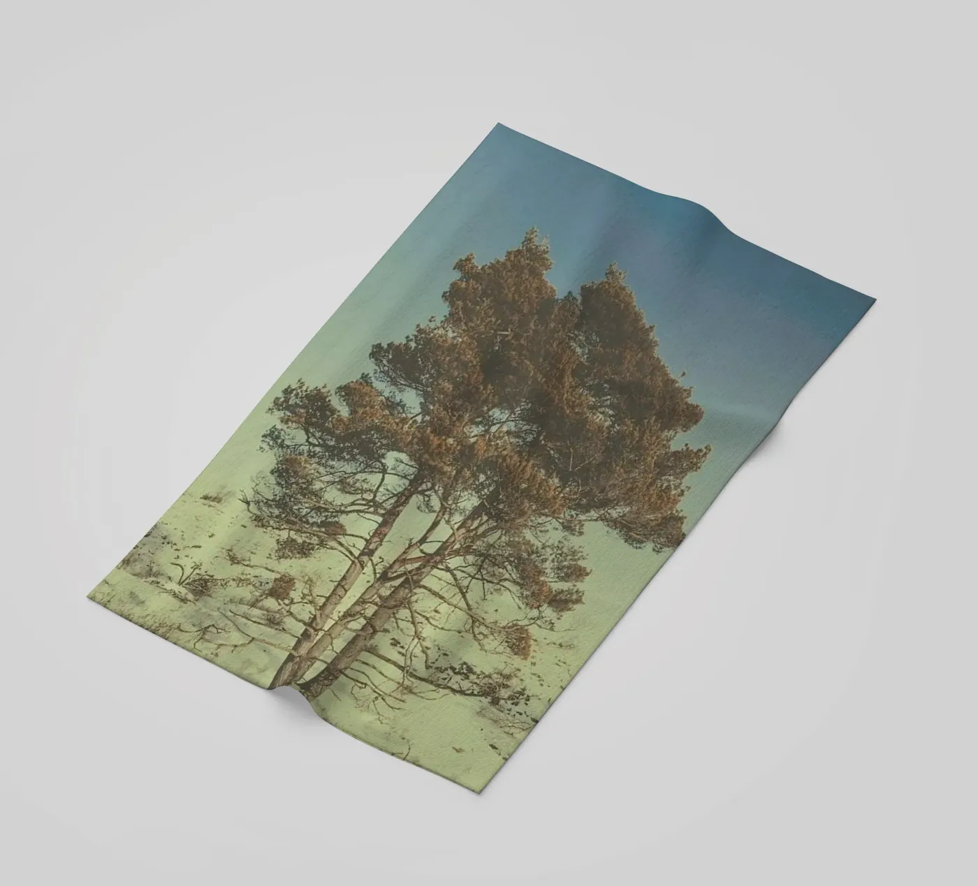 The Tree beach towel by Pale Grain