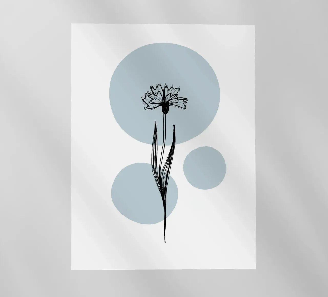 Alina Buffiere - Delicate Botanicals - Kornblume pellicola backlit da The Artcircle