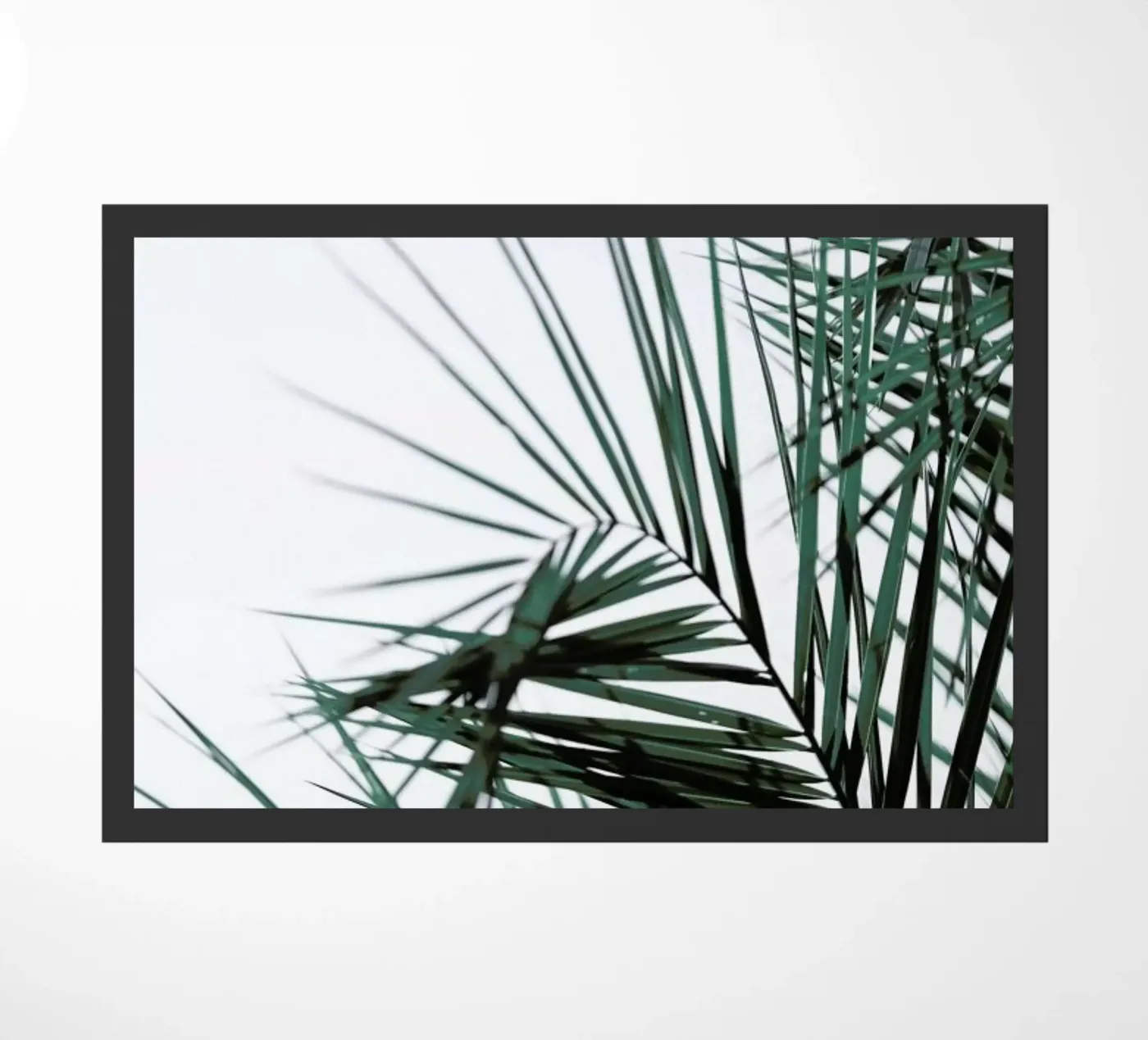 Foliage zerbino da Shot By Clint