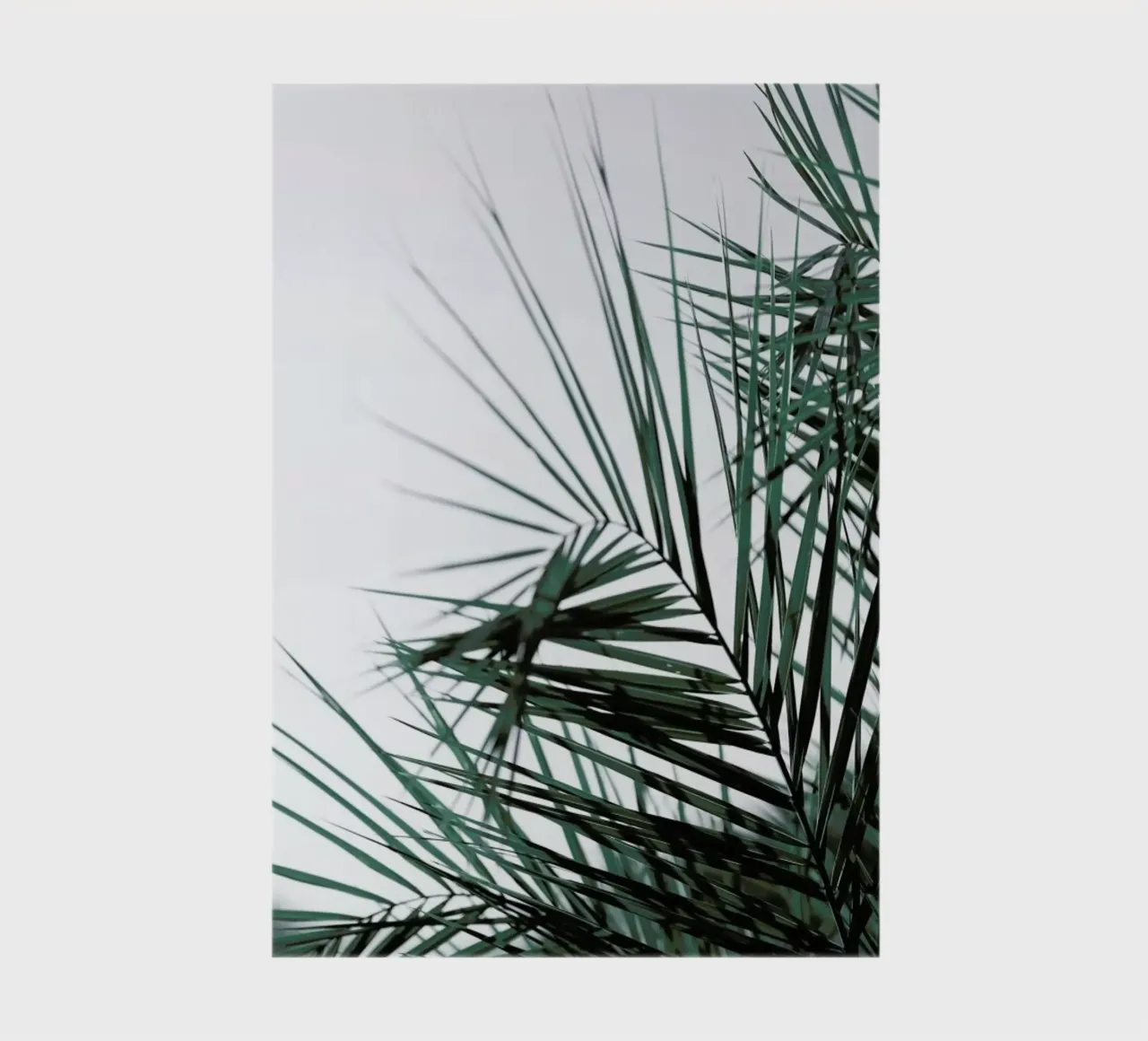 Foliage notebook by Shot By Clint