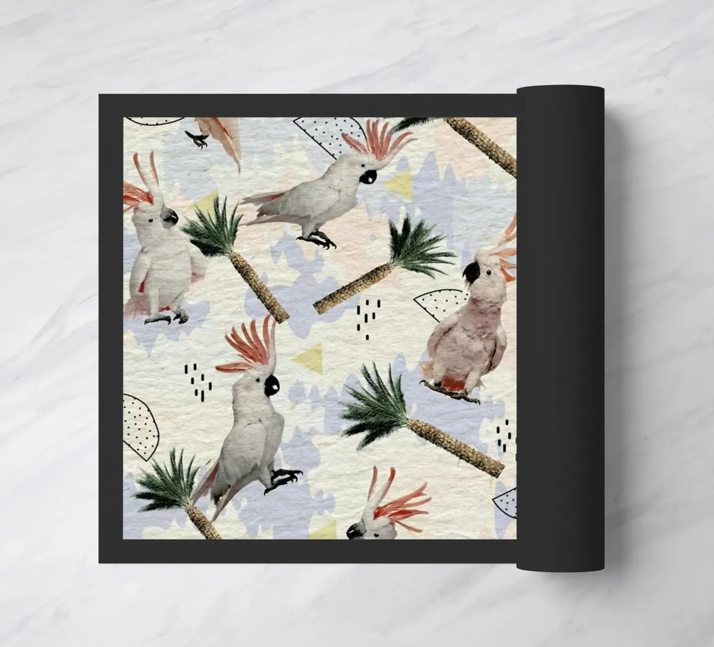 Cockatoos zerbino da Kris Tate