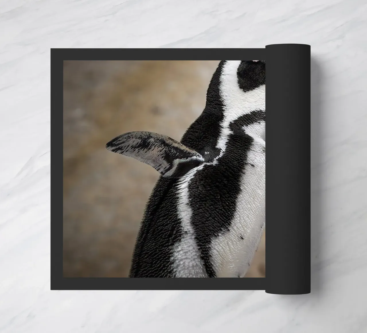 Penguin zerbino da Tom's Wildlife