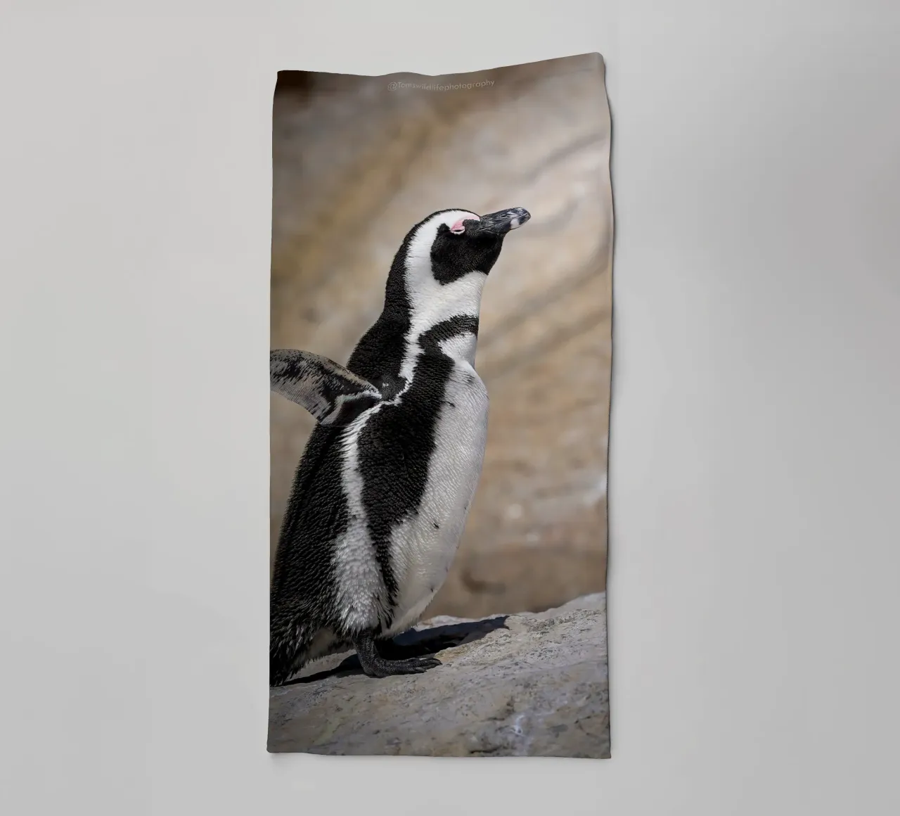 Pinguino asciugamano da bagno da Tom's Wildlife