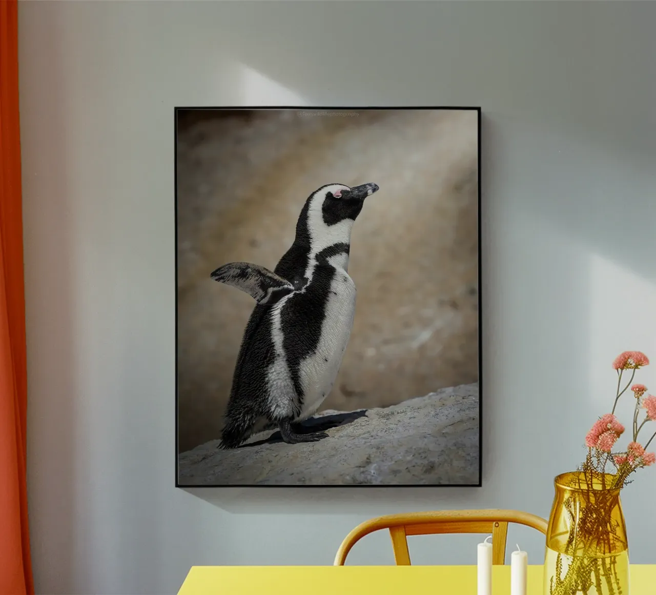 Pinguin Acryl-Glas von Tom's Wildlife