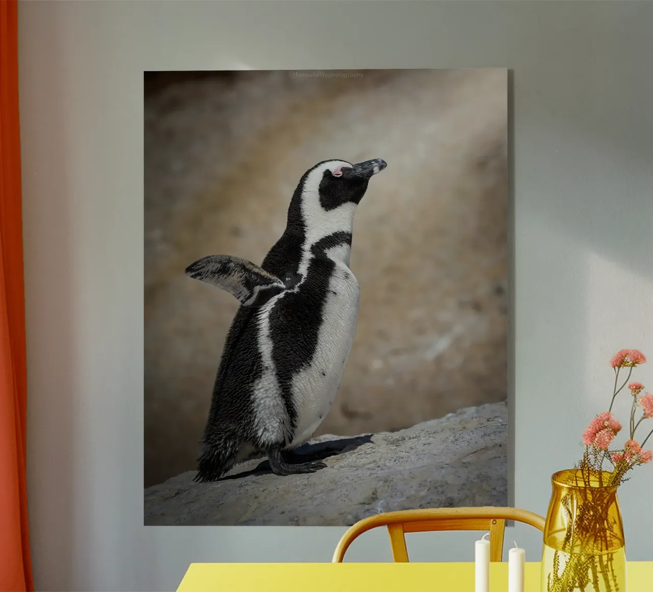 Pinguin Acryl-Glas von Tom's Wildlife