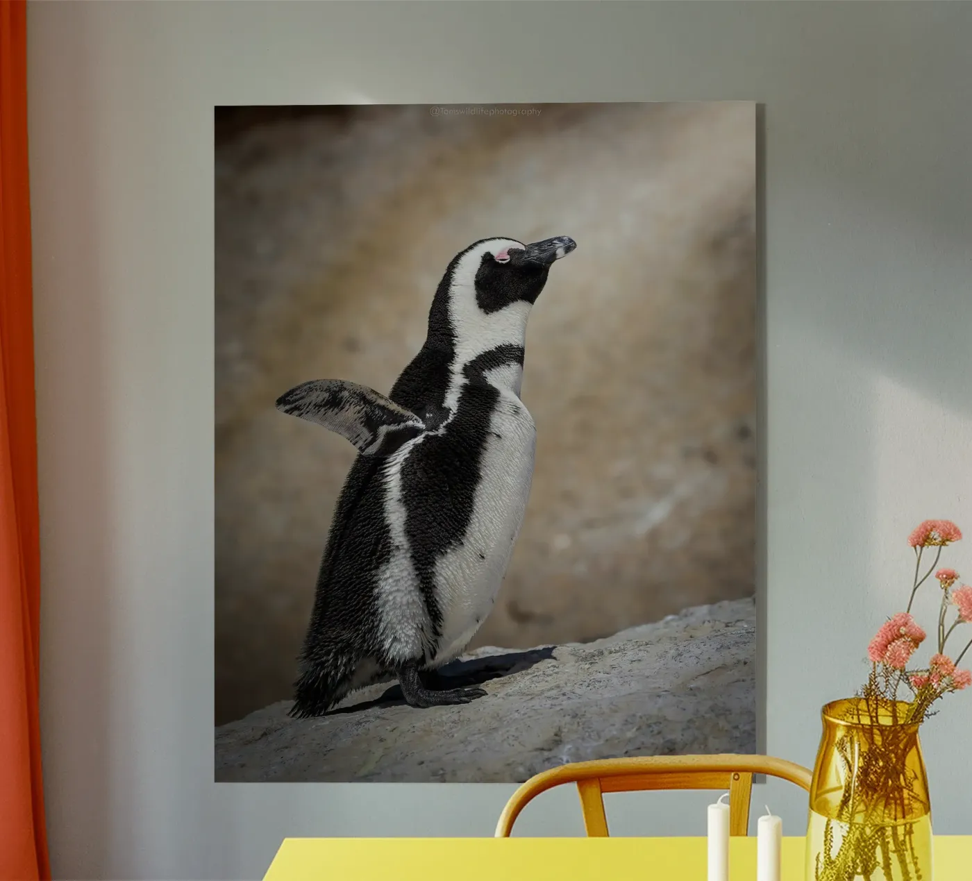 Pinguïn acryl van Tom's Wildlife