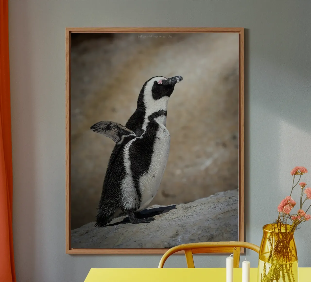 Pinguino alluminio dibond da Tom's Wildlife