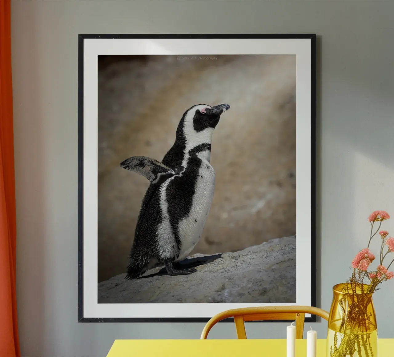 Penguin poster da Tom's Wildlife