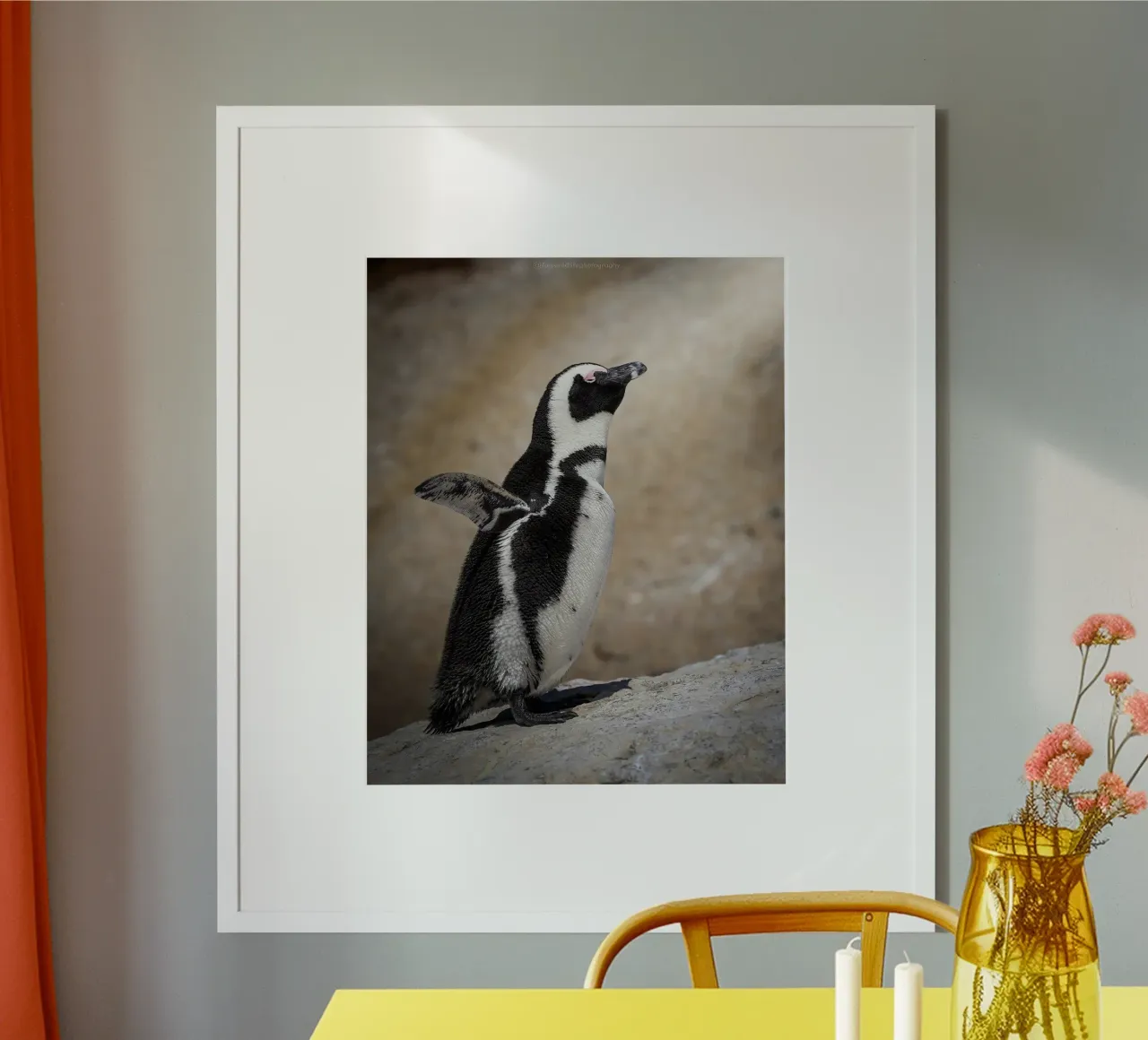 Penguin poster da Tom's Wildlife