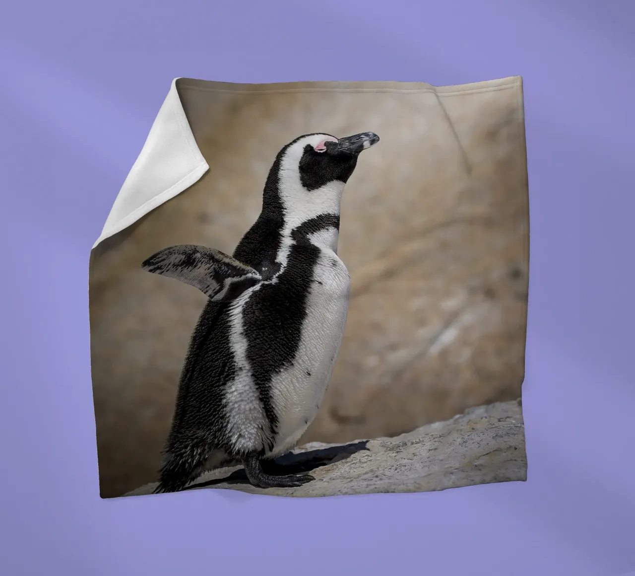 Pinguino coperta in pile da Tom's Wildlife