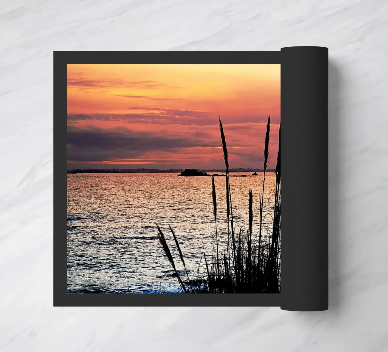 FAA144 zerbino da Thierry vobmann photography