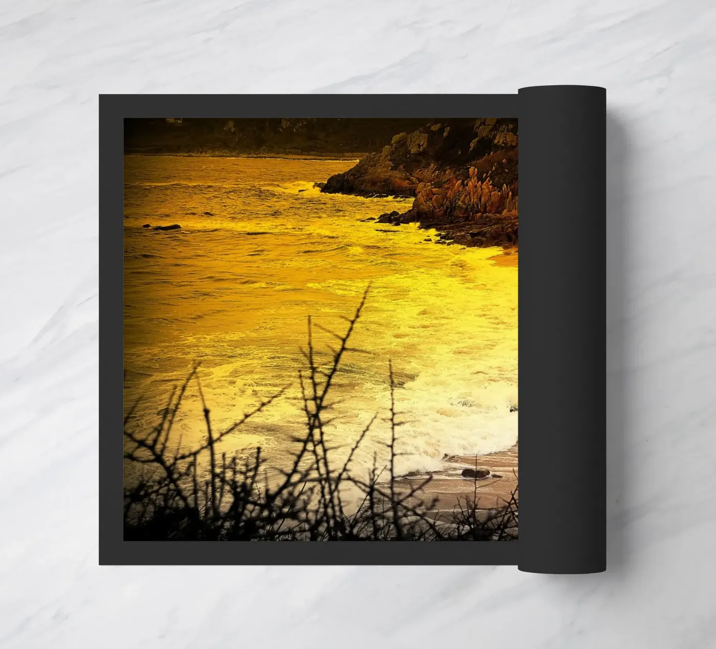 FAA145 zerbino da Thierry vobmann photography