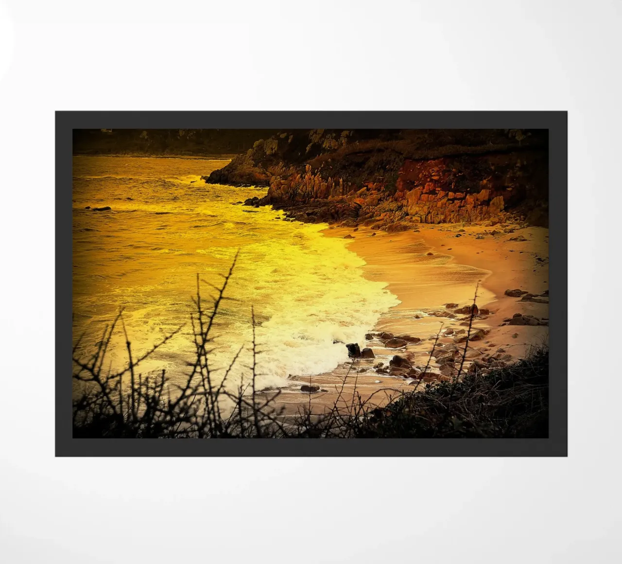 FAA145 zerbino da Thierry vobmann photography