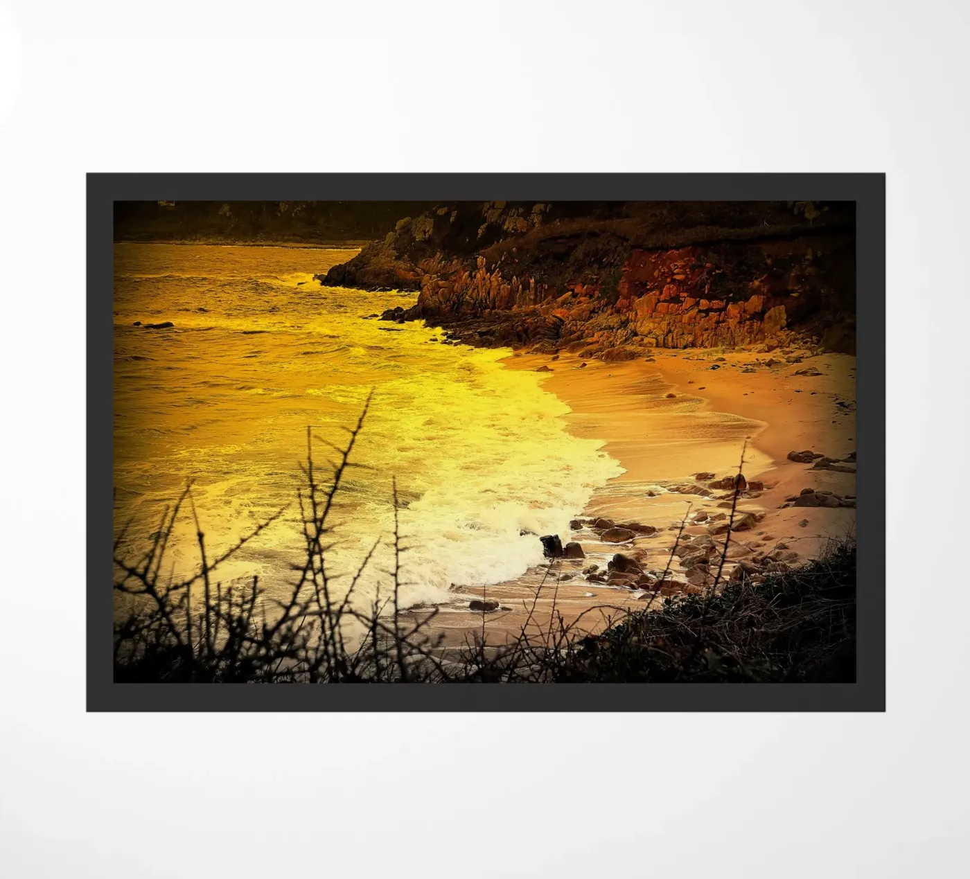 FAA145 zerbino da Thierry vobmann photography