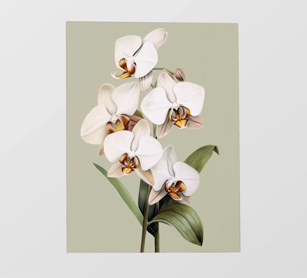 Orchidee telo in pvc da DaarbyN