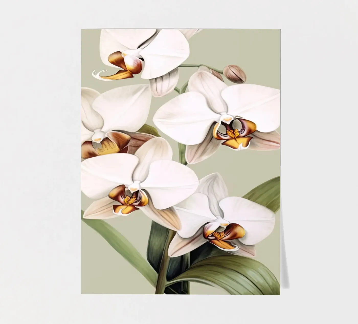 Orchids sticker sheet by DaarbyN