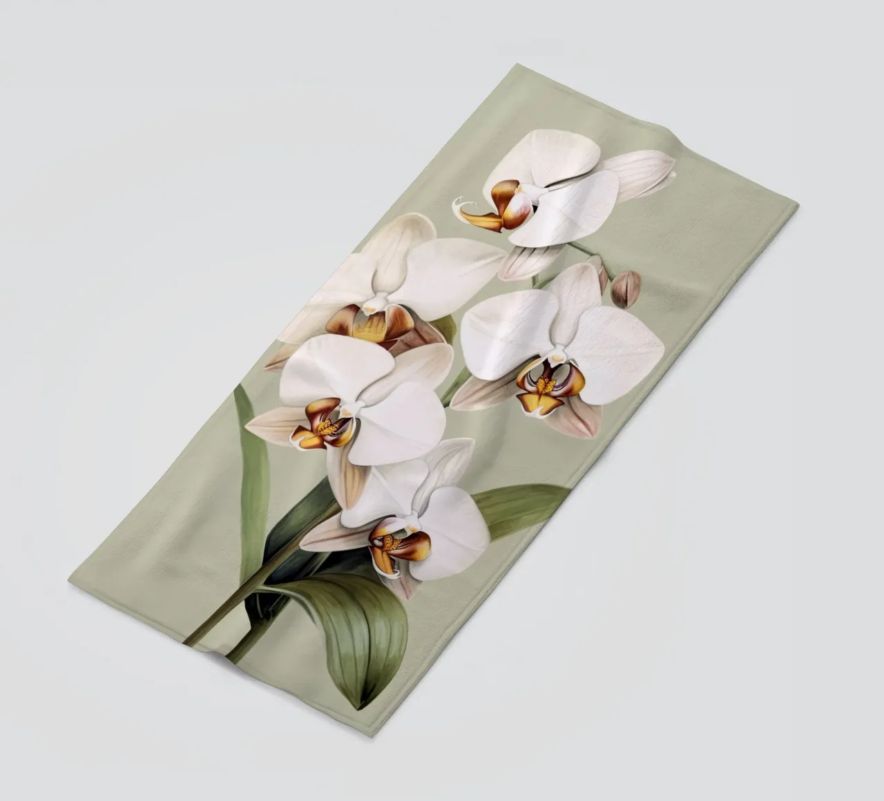 Orchidee telo mare da DaarbyN