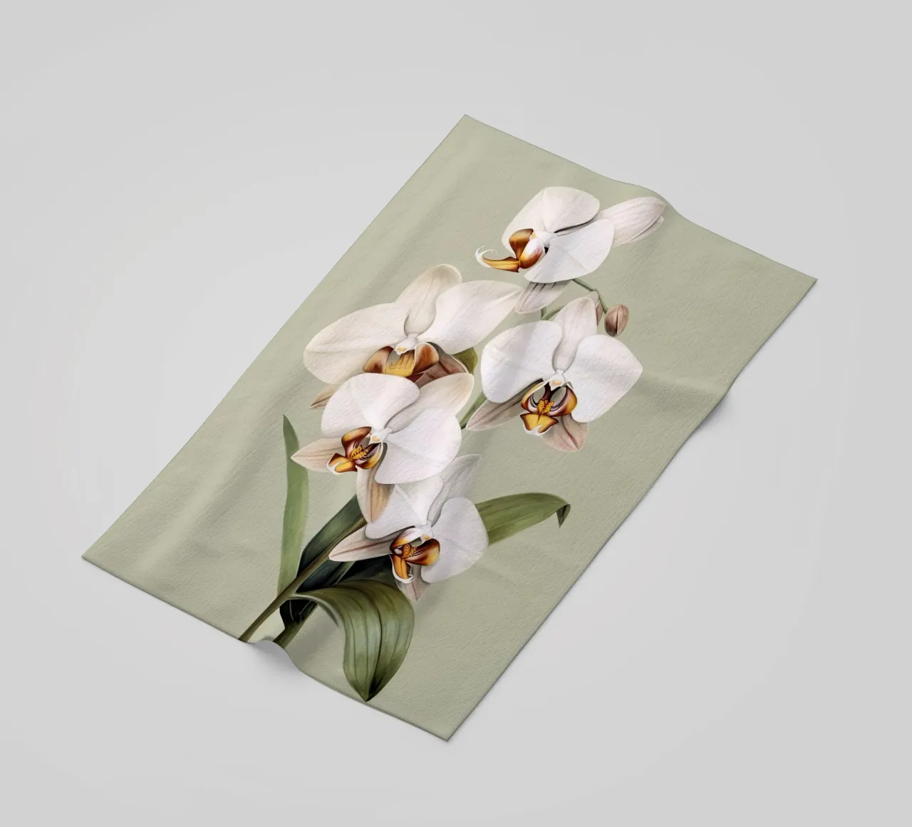 Orchidee telo mare da DaarbyN