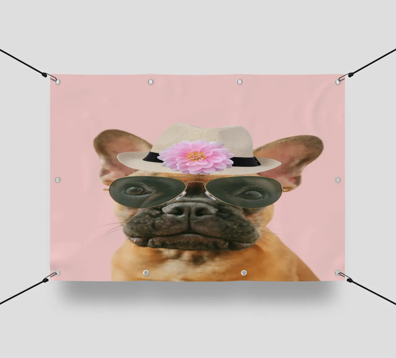 cane carino con cappello fedora telo in pvc da Berwies Artwork