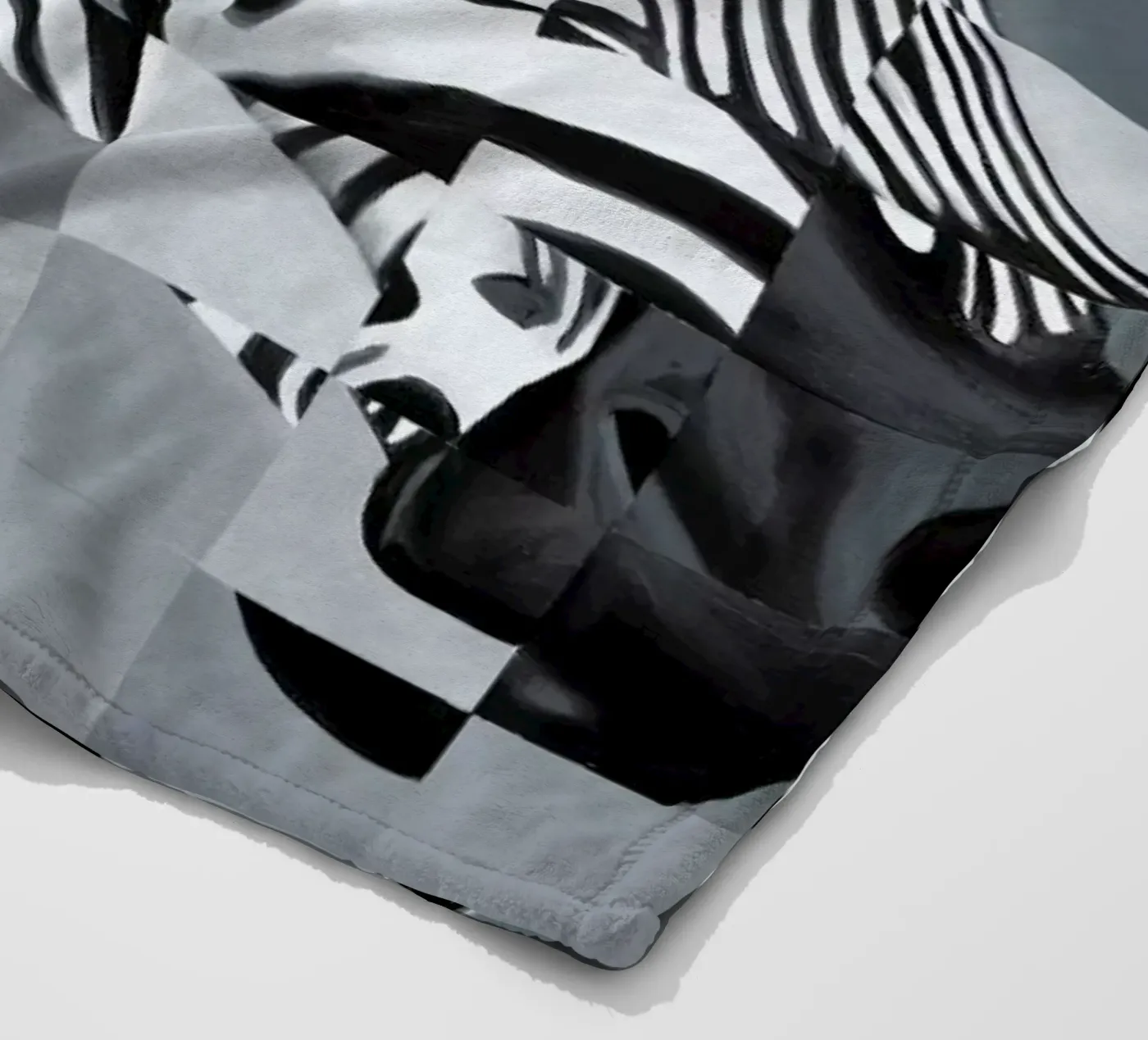 Zebra coperta in pile da Allison Chaplin