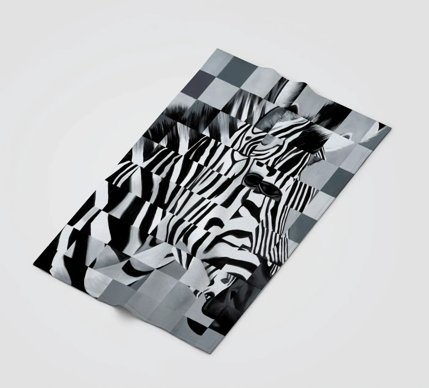 Zebra coperta in pile da Allison Chaplin