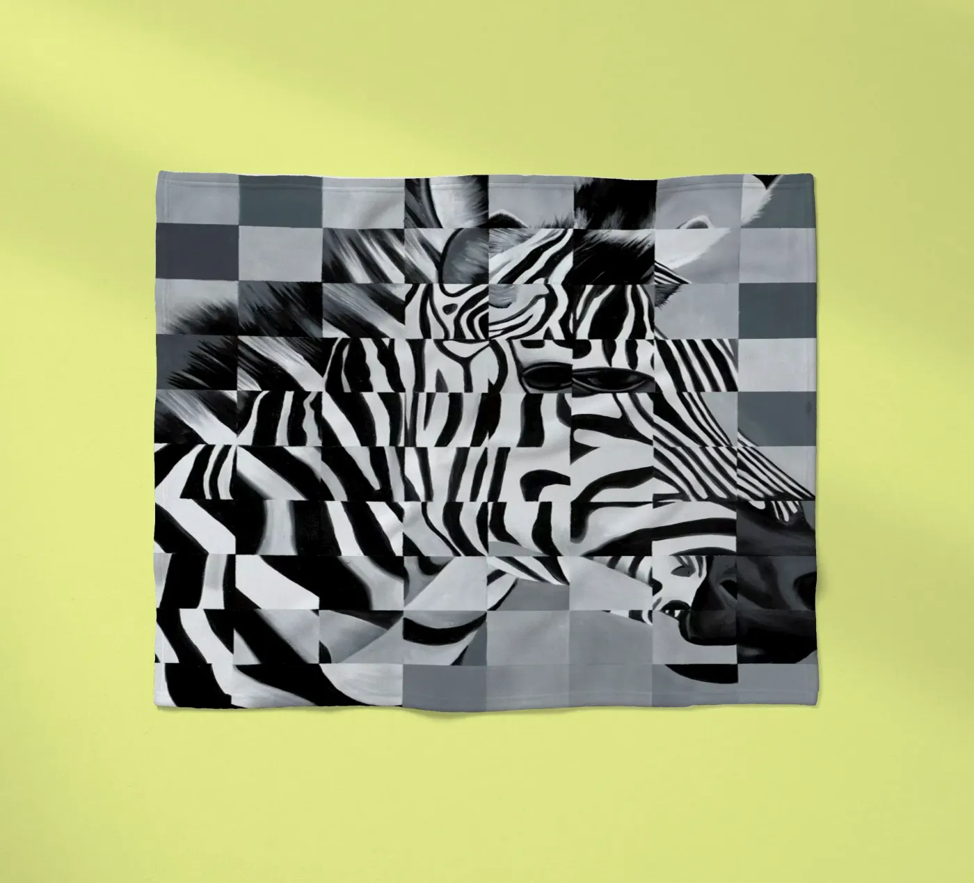 Zebra coperta in pile da Allison Chaplin