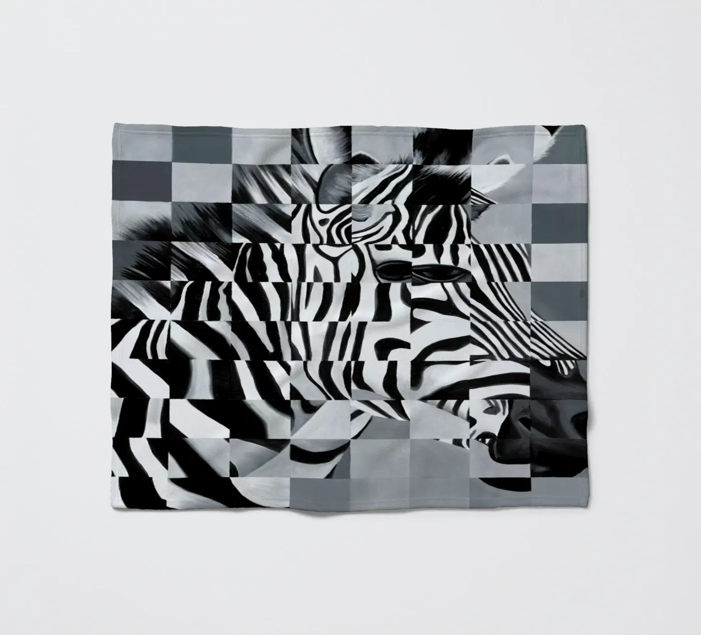 Zebra coperta in pile da Allison Chaplin