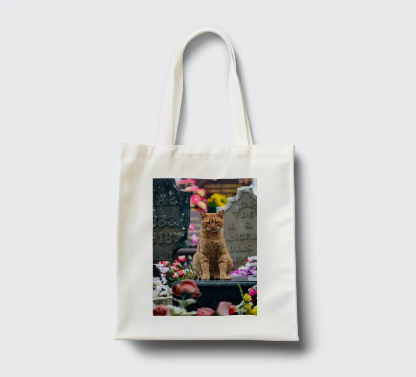 Grumpy cat tote bag by anderm