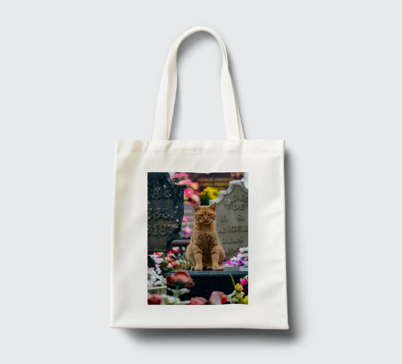 Grumpy cat tote bag by anderm