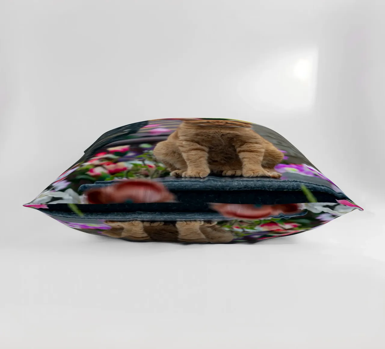 Grumpy cat cuscino da anderm