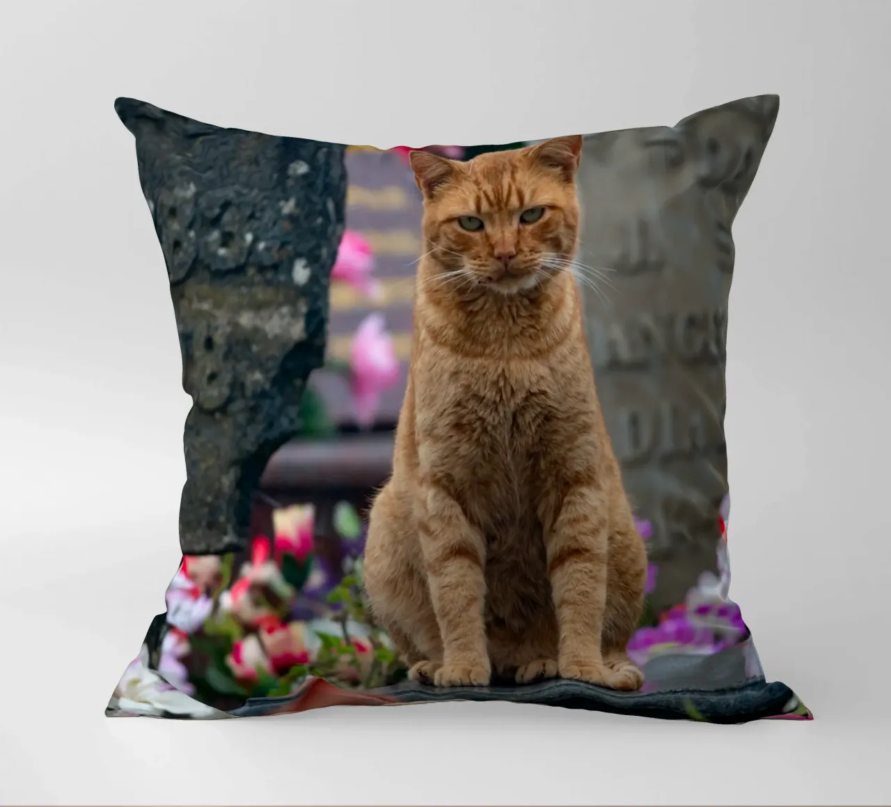 Grumpy cat cuscino da anderm