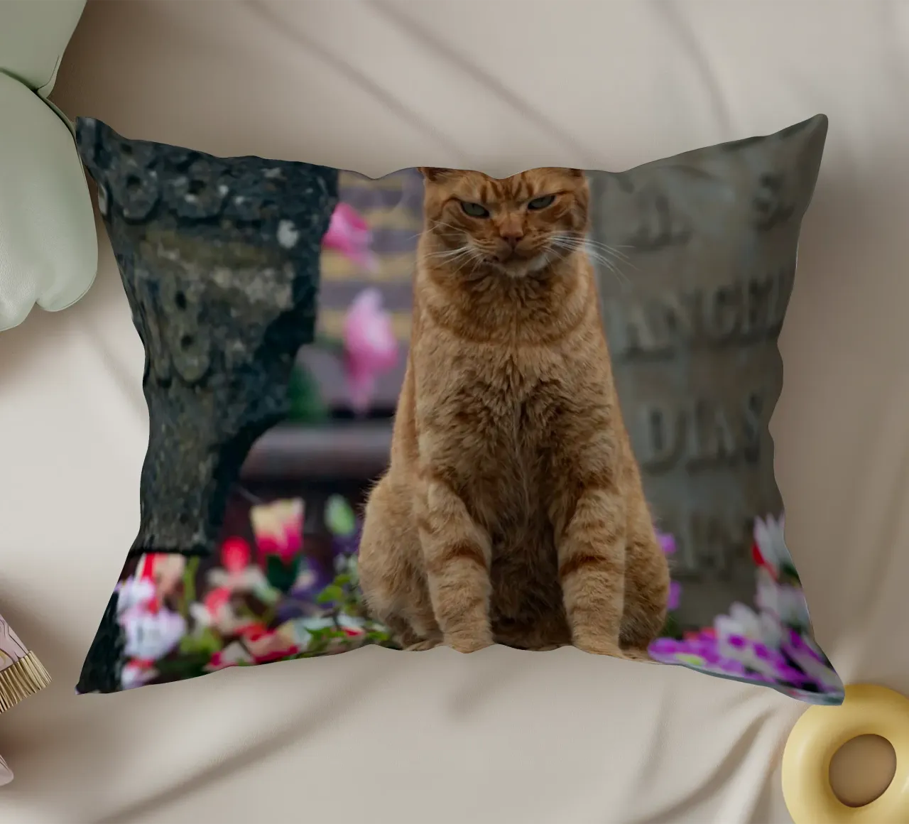 Grumpy cat cuscino da anderm