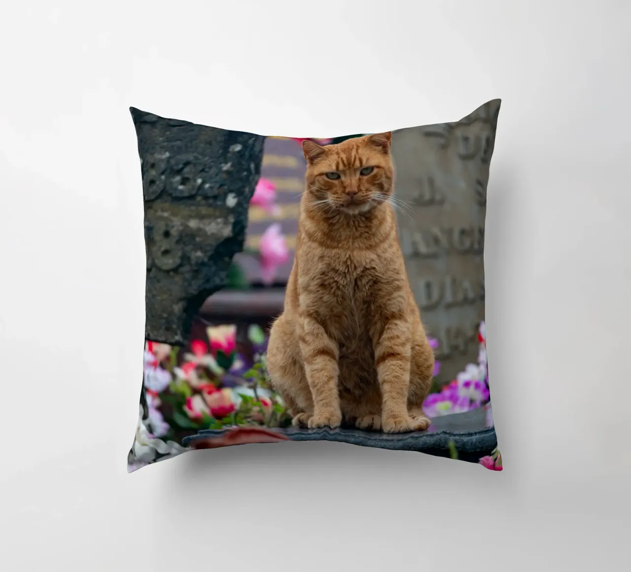 Grumpy cat cuscino da anderm